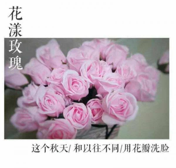 1481350797779736.jpg 茗膜mmexport1479022390753.jpg