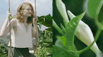 1482398302734466.gif 4cdfb68.gif