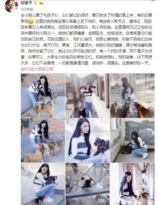 井柏然关微博娜扎关评论，网络暴力咋应对？